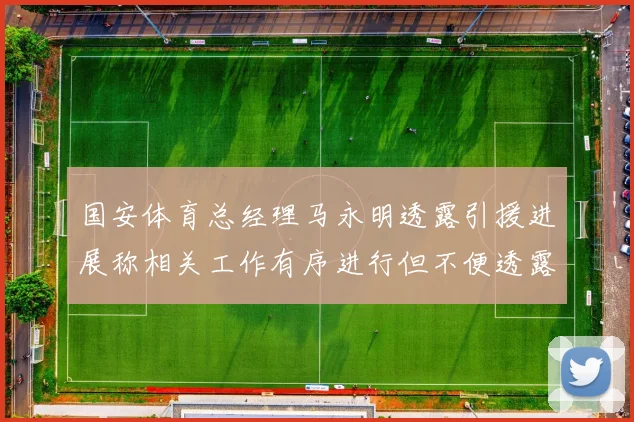 国安体育总经理马永明透露引援进展称相关工作有序进行但不便透露名字
