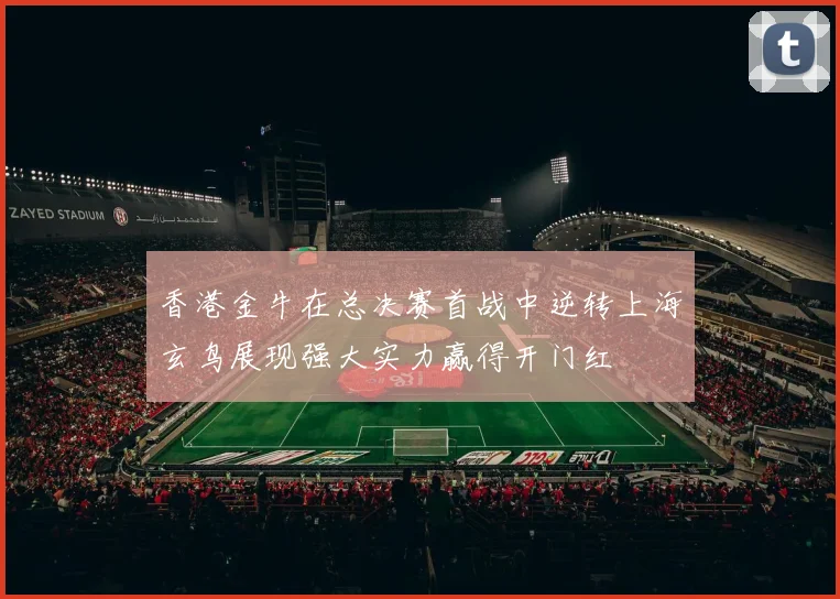 香港金牛在总决赛首战中逆转上海玄鸟展现强大实力赢得开门红