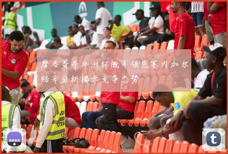 摩洛哥夺非洲杯概率领先塞内加尔赔率分析揭示竞争态势