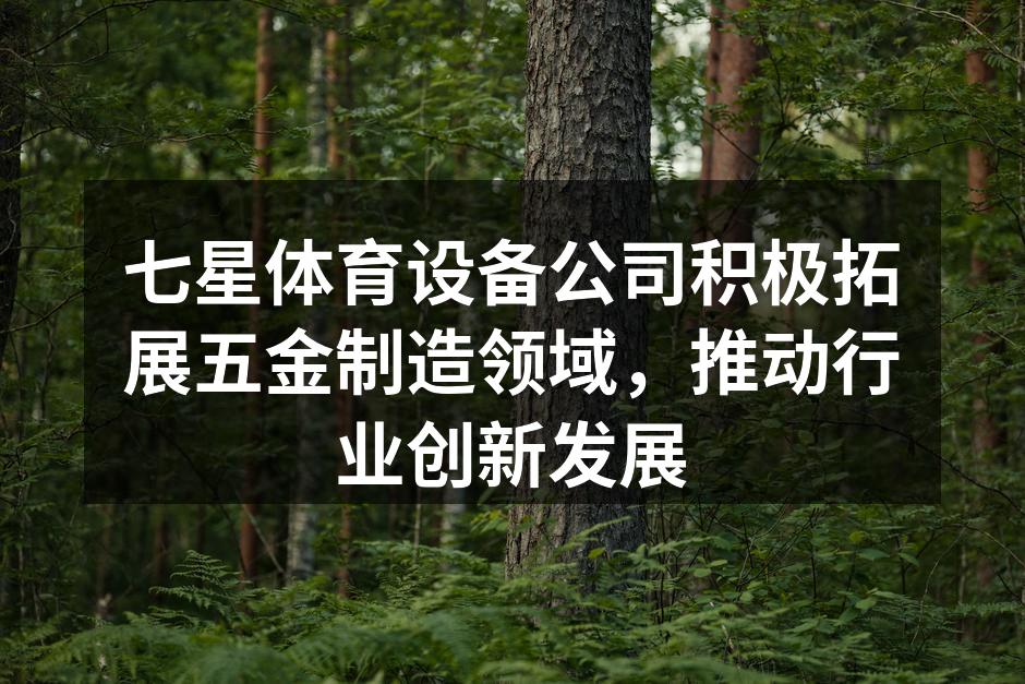七星体育设备公司新型五金工具